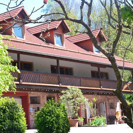 Ferienwohnungen Hof Heiderich Oberzent Kültér fotó